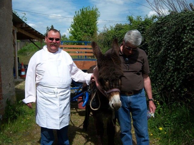 carnaval 2010 (19).jpg